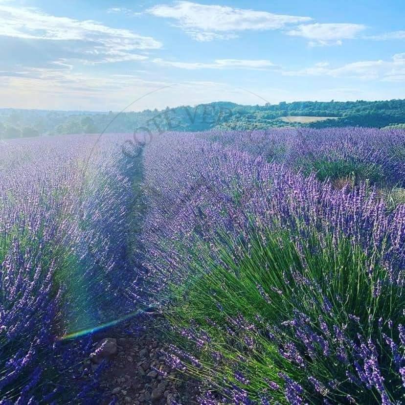 Cote Verdon 2 Кенсон Экстерьер фото